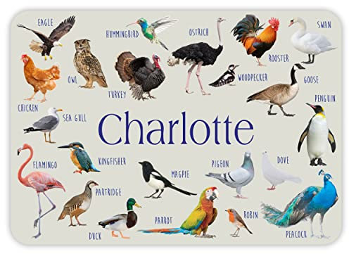Paper Themes Personalised Placemat for Kids (Birds)