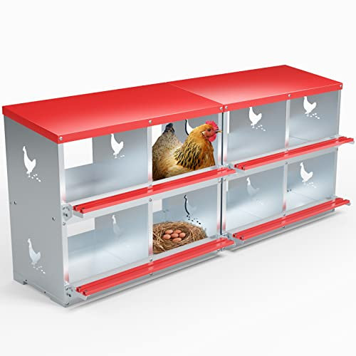 Hühner Nistkästen - 8 Fächer Metall Geflügel Nest Box Wandhalterung für Hühner, Hühner, Enten - Einfache Eiersammlung - Große belüftete Löcher Hühnerstall Ausrüstung (8 Fächer)
