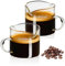 ZhouZGlass Espresso Cups, 4 OZ Double Spouts Cups, Espresso Shot Glasses, Milk Cup with Handle, Clear Glass, Accessories for Espresso Machine (2pcs)
