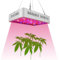 FPSWRX Full Spectrum Growing Lamp, 1000W LED Grow Light with Adjustable Rope, Plant Growing Lamps for Greenhouse and Indoor Plant Veg and Flower Growing