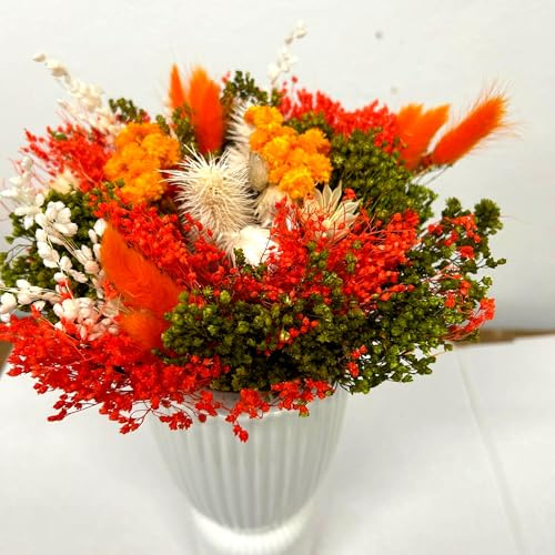IFLO Trockenblumenstrauß XL 50cm | 80-100 Stiele | Fertig Gebundener Trockenstrauß | Ewige Blumen Deko für Wohnzimmer, Hochzeit & Geschenk | Natürliche Trockenblumen Ohne Vase (Sunset Orange)