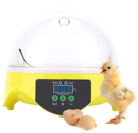 Inkubator 7 Eier, Mini Digital Inkubator Vollautomatische Brutmaschine Mit Temperaturregelung und Eingebauten Lüfter Brutapparat Brutkasten Für Hühner Enten Wachteln