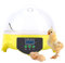 Inkubator 7 Eier, Mini Digital Inkubator Vollautomatische Brutmaschine Mit Temperaturregelung und Eingebauten Lüfter Brutapparat Brutkasten Für Hühner Enten Wachteln