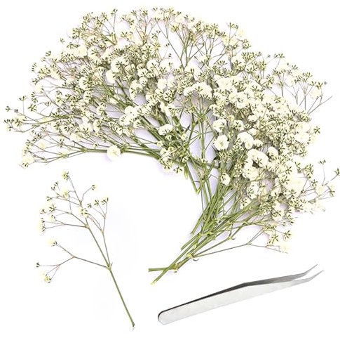 Ruikdly Schleierkraut Getrocknet Weiß 100 STK Trockenblumen zum Basteln Trockenblumen Klein Baby’s Breath Blumen Echte Natur Getrocknete Blüten Deko für DIY Kerze Harz Schmuck Nagel Kunst Basteln