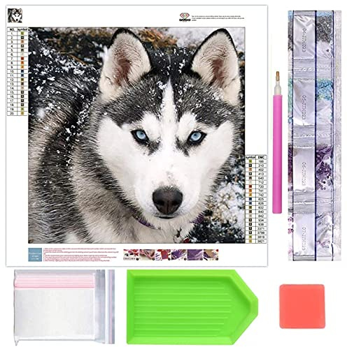 DIY 5D Diamond Painting, Crystal Rhinestone Embroidery Pictures Arts Craft for Home Wall Decor Husky 11.8 x 11.8