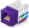 Everest 90° Angled RJ45 Cat6 Keystone Jacks 20-Pack in Purple - Slim Profile Female RJ45 Connectors - Cat 6 Keystone Jack - Compatible with 90° Angled Speed Termination Tool - easyJACK (B094WB91H3)