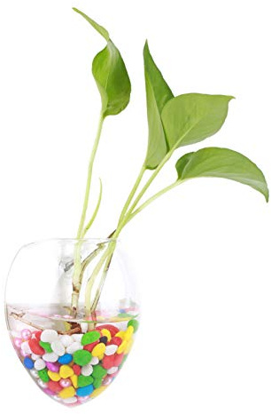 Wnvivi Hängende Pflanzen Blumen Glasvase, Blumenvase für Hydroponik-Pflanzen, Wand-Hydrokultur-Aquarium-Behälter für Heimbüro-Dekoration(#6)