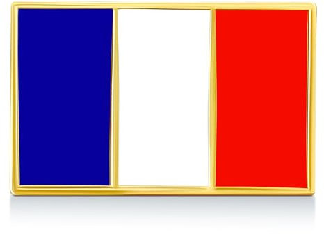 Pin's Drapeau Français | Pins France Bleu Blanc Rouge pour Hommes rectangle Drapeau | Pin Tricolore écusson Broche Drapeau National Doré