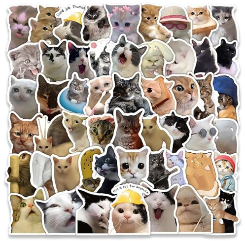 50 Stück Lustiges Katzen Aufkleber Set, Funny Sticker Set, Wasserfeste Vinyl Tiere Aufkleber, für DIY Laptop Gepäck Kühlschrank, Auto Motorrad Fahrrad Phone, für Erwachsene Kinder.