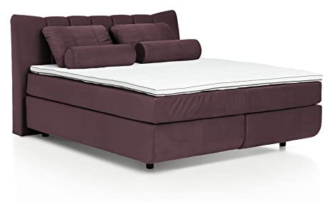 Mivano Free Boxspringbett/Bett mit 7-Zonen-Taschenfederkern-Matratze und Premium Topper/Härtegrad H4, Velours Cosy Lila, Liegefläche 180 x 200 cm
