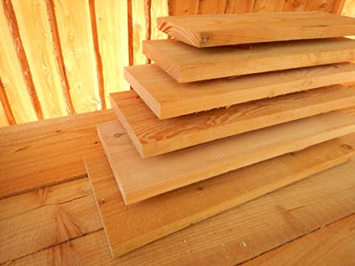 LÄRCHE 15x3,2cm BRETT BRETTER SCHALUNG HOLZ BAUHOLZ SICHTSCHUTZ 300cm LÄNGE (10)