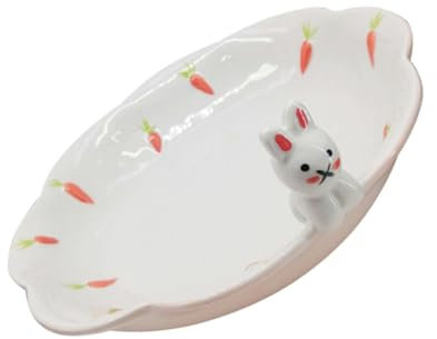 Cabilock Assiette de lapin dessinée à la main dessin animé assiettes à salade lapin assiette d'enfants plats de service porte-petit-déjeuner vaisselle en céramique blanche