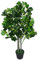 Leaf Artificial Ficus Tree/Plant, Dark Green, 95cm