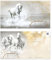 GESCHENKGUTSCHEINcom by POS-HAUER. 10 Gutscheine, blanko zum selber Ausfüllen. Für Reitsportbedarf Reitsport Reitstall.