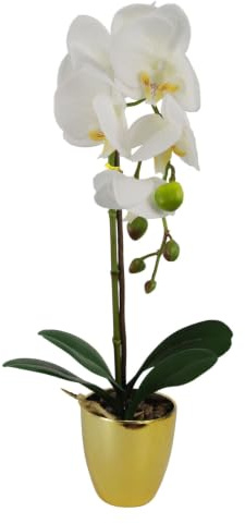 Leaf Design UK Realistic Artificial Orchid Flower Display in Pot, White Gold