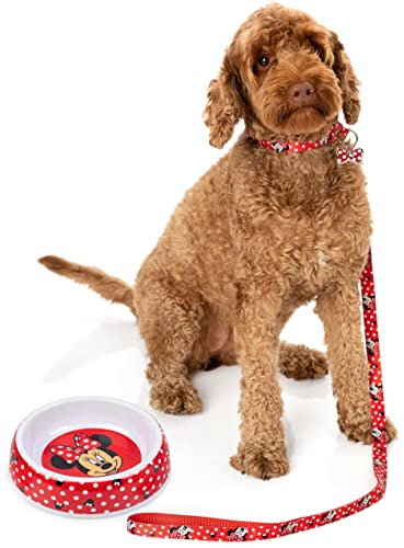 Disney Minnie Mouse Pets Gift Set | Small OR Medium Character Lead Collar Charm Accessory Feeder Food Water Bowl | Dogs Cats Animals Xmas Birthday Treats Medium