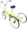 Brride Dreirad für Erwachsene 20 Zoll 3-Rad mit Einkaufskorb, Outdoor Tricycle Erwachsene Outdoor, Licht Senioren Dreirad Faltbares (Gelb)