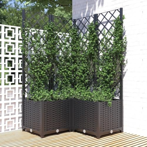 Qnhdfrt Pflanzkübel mit Rankgitter Schwarz 80x80x136 cm Groß Hoch Pflanzgefäß aus wetterfestem PP für Balkon Terrasse Garten