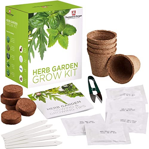 Herb Garden Seed Growing Kit Gift Box - 5 Traditional Tasty Herbs to Grow; Basil, Parsley, Garlic, Coriander & Rocket Seeds by Thompson & Morgan