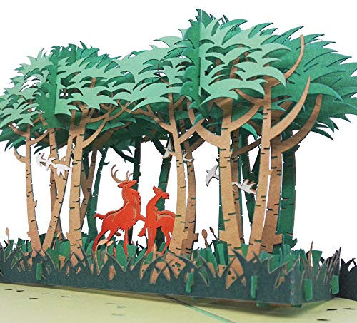 AIT PAPER ART Geburtstag Wald Pop Up Karte - Hirsch im Wald 3D Popup Grußkarten für Jahrestag Valentinstag