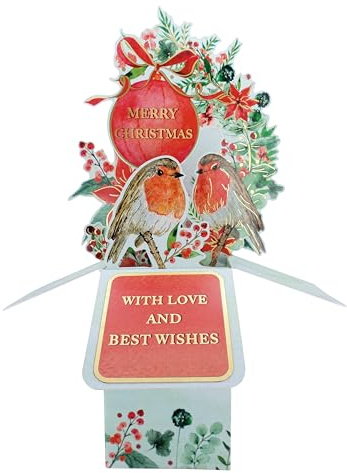 Clever Cubes Pop Up Red Robins Tweet-Tastic Merry Christmas Card 3D Xmas Card XCU004