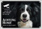 Petsigns wunderschönes Warnschild - Border Collie - Metallschild in Premiumqualität - videoüberwacht, DIN A3