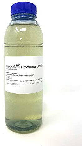 Plankton24 Lebendfutter Brachionus plicatilis - Lebende Copepoden 500 ml Zooplankton für Fischhalter, Aquarianer - Fischfutter