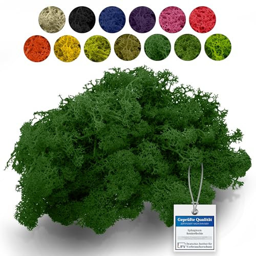 sphagnum-shop.com Echtes Deko Moos Rentierflechte in Forrest 500 gr für Modellbau Basteln Islandmoos