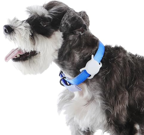 Amazon Basics Hundemarkenhalter für Halsband, AirTag-Hundehalsbandhalter, Sichere Aufbewahrung, Universelle Kompatibilität, Langlebig, 2 Stück