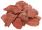 Piedras de agua de jaspe rojo, 100% natural, 300 g de fuente de vida Plus
