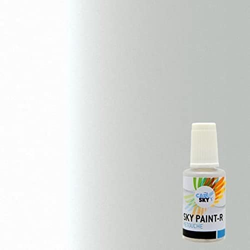 CARSKY stylo retouche peinture carrosserie compatible avec Tesla Motors White Water nacré PPSW (flacon pinceau 20ml) + vernis brillant (flacon pinceau 20ml)