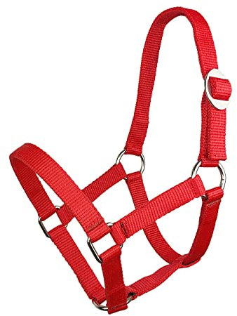 York Halfter Shetty Ponyhalfter Pferdehalfter Bandhalfter Pony (rot)