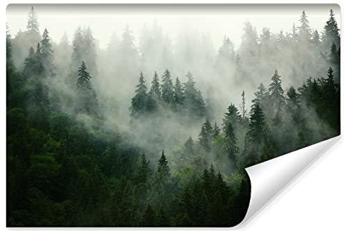 Muralo Fototapete WALD IM NEBEL Wandtapeten Bäume Grün Natur Wohnzimmer Schlafzimmer Esszimmer Moderne Wandbilder XXL Landschaft Panorama Wand Dekoration (VLIES, Br. 520 cm x Hö. 318 cm)