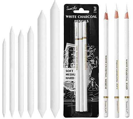 Crayon De Charbon De Bois Blanc, Estompeur, 6 Pièces Estompe en Papier, 3 Pièces Fusain, Surbrillance Dessin Professionnel, Doux/Moyen/Dur