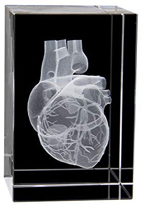 UIGJIOG Menschliches Herz Anatomie des Kristallglas-Modell, Briefbeschwerer Cube Science Gift Medical Souvenir, 3,1 x 2 x 2 Zoll