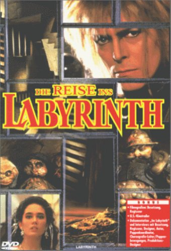 Die Reise ins Labyrinth, 1 DVD