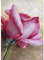 5D Diamond Painting Diamant Malerei Painting Bilder, Wowdecor Rosa Rose Blumen Full Set Groß DIY Diamant Gemälde Malen Nach Zahlen