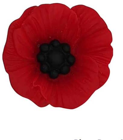 Broche de coquelicot rouge. Broche du jour du Souvenir. Broche fleur de pavot. Épinglette fleur de pavot. Insigne de coquelicot. Coquelicot. Jour du suvenire. Red Poppy Resin brooch.