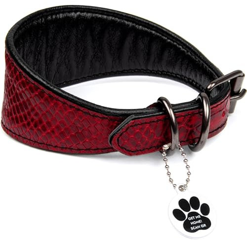 FAVPET Luxus Echtleder Windhund Halsband Breit mit QR Code Anhänger, Weiches Lederhalsband Hund Breit Whippet Italienisches Windspiel Saluki Lurcher Spanischer Galgo Greyhound Podenco (Rot, M)