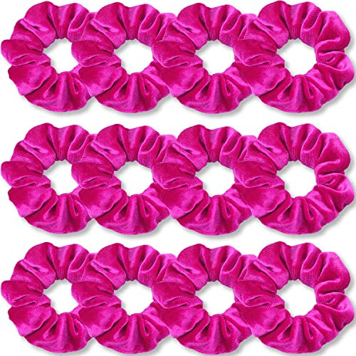 VENUSTE Rose Haargummis, Premium-Samt-Haargummis für Haare, einfarbig, dicke Haarbänder, weiche Seile, Pferdeschwanz-Halter, Haarschmuck für Damen und Mädchen, 12 Stück