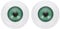 PATIKIL 24mm Safety Eyes, 2 Pcs Realistic Acrylic Eyes Plastic Half Eyeballs for Masks Halloween Props Art Craft, Green