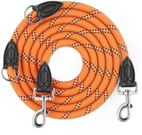 Aystkniet Hundeleine 2m, Verstellbar Leine Hund für Mittlere & Große Hunde | 2-fach Verstellbar; 12MM Robuste Freihandleine & Umhängeleine; 250KG Zugkraft Reflektierend Nylon Doppelleine mit 2 Karabiner