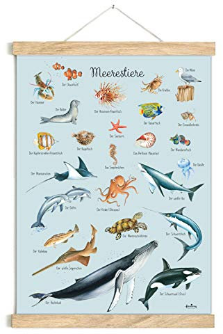 fioniony POSTER 50 x 70 cm MEERESTIERE BLAU UNGERAHMT OHNE HOLZLEISTE Tierposter Lernposter Schulanfang 1. Klasse Kinderposter Kinderzimmer Babyzimmer Wandbild Schule Kindergarten