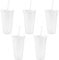 Reusable Plastic Cup 5 Pcs Drinkware Tumblers Coloured Acrylic Cups Tumblers with Lids and Straws Plastic Bulk Iced Plastic Cold Water Tumblers Iced Coffee Cups Travel Mug Party Tumbler