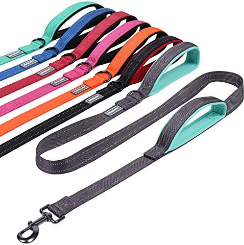 VIVAGLORY Twingrip Führleine Hund, Leine Hund Hausleine Joggingleine, Hundeleine mit 2 Griffen Doppelgriff, Gepolstert Neopren & Reflektierend, 1.8m x 2.5cm, Grau