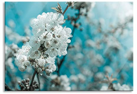 Pixxprint Quadro in vetro | Murale in vero vetro | Fiori di ciliegio | 80 x 60 cm | incl. sospensione e distanziatore