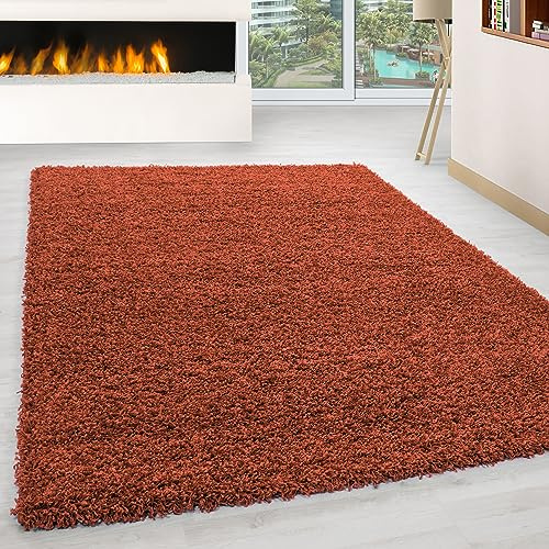 KADIMA DESIGN Hochflorteppich Einfarbig Uni Weich Flauschig Waschbar Strapazierfähig Langlebig Terrakotta 120x170 cm Wohnzimmer Schlafzimmer Fußbodenheizung geeignet Schadstoffgeprüft | RHEIN
