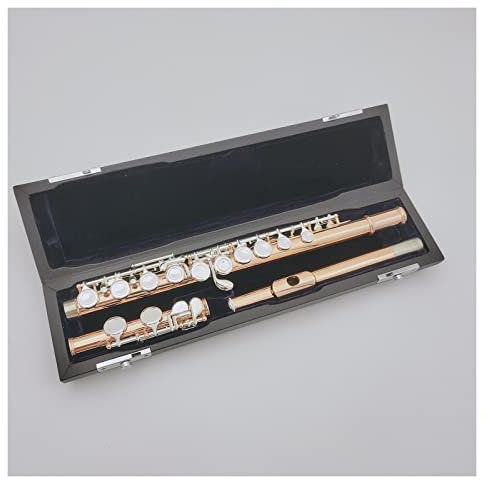 Schöne Goldlack-Flöte, Geschlossene Löcher, Geteiltes E, 16 Tasten, Musikinstrument, Flöte Mit Etui Einsteiger Querflöten
