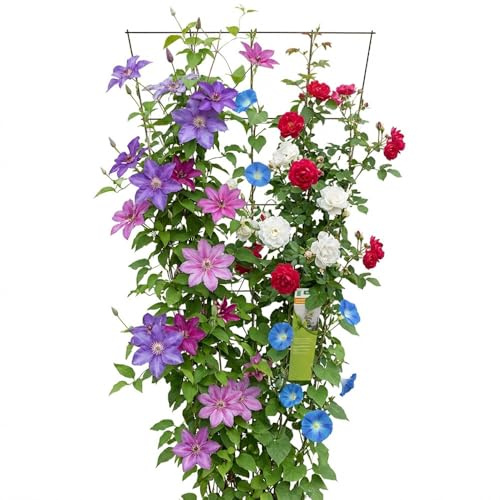 YOURSOL Gitterspalier Metall 150 cm V-förmig, Rankhilfe grün, Kletterhilfe für Pflanzen, Rosen & Rankpflanzen, inkl. Befestigung