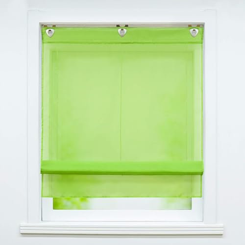 Joyswahl Voile Raffrollo mit Hakenaufhängung, ohne Bohren »Hanna« Schals Fenster Unifarbige Vorhänge BxH 100x130cm Grün 1er Pack